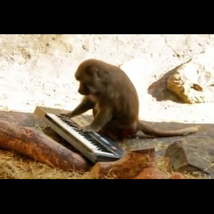 Monkeys and Synthesizers