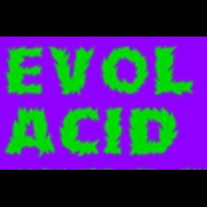 EVOL: Acid Megamix (Ideal Mixtape Eleven)