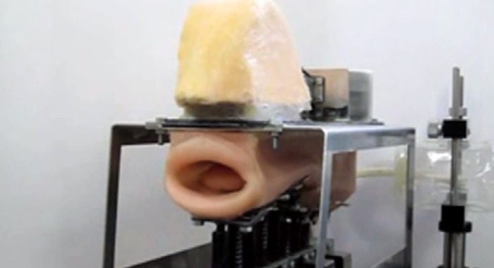Des ingenieurs japonais reproduisent des cordes vocales humaines en labo