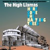 The High Llamas- "Here Come The Rattling Trees" 