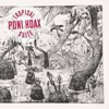 Poni Hoax - I Never Knew You Were You 