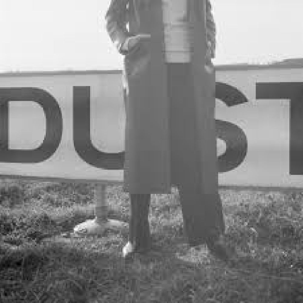 dust_halo