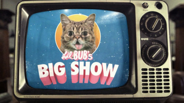 Steve Albini au Lil BUB's Big Show.