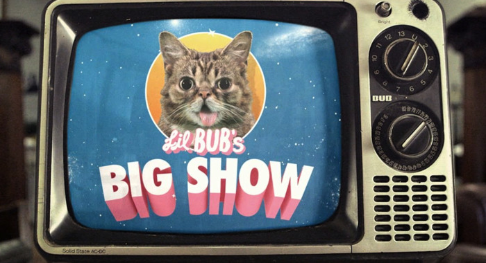 Steve Albini au Lil BUB's Big Show.