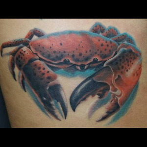 Panier de crabes #54