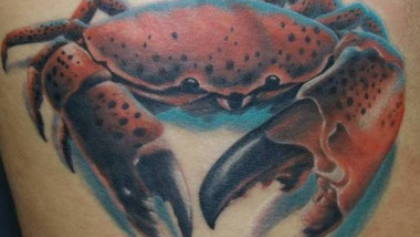 Panier de crabes #54