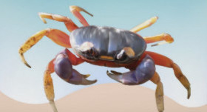 Panier de crabes #76: spécial vacances