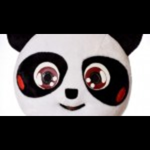 Nate Hill: Punch Me Panda