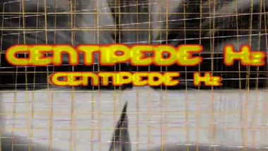 Animal Collective: Centipede Hz
