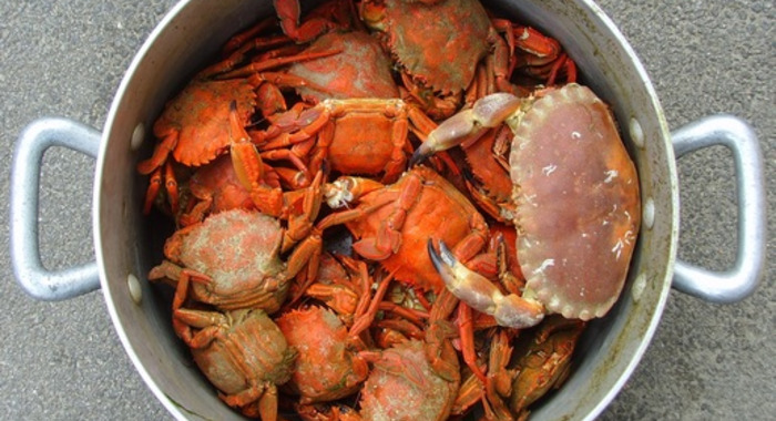 Panier de crabes  #2