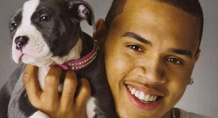 Chris Brown: Do not buy this album, this man beats women