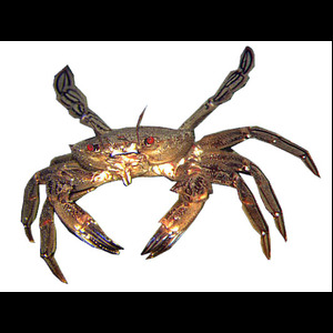 Panier de crabes #33