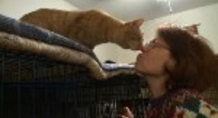 Cat Ladies: When Cats Mean "Meow" To You Than People