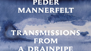 Le Suédois Peder Mannerfelt s'apprête à sortir un maxi très porté sur la rave