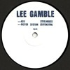 Lee Gamble — B23 Steelhouse (PAN 65) 