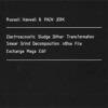 Russell Haswell & PAIN JERK 'Electroacoustic Sludge Dither Transformation [...] excerpt' (eMEGO 200) 
