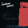 Sombrero Galaxy "The Edge of Space" - Boiler Room Debuts 