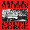 Boe Strummer - Goethite Over Quartz 