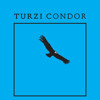 Turzi - Condor (Bumblee Remix) 