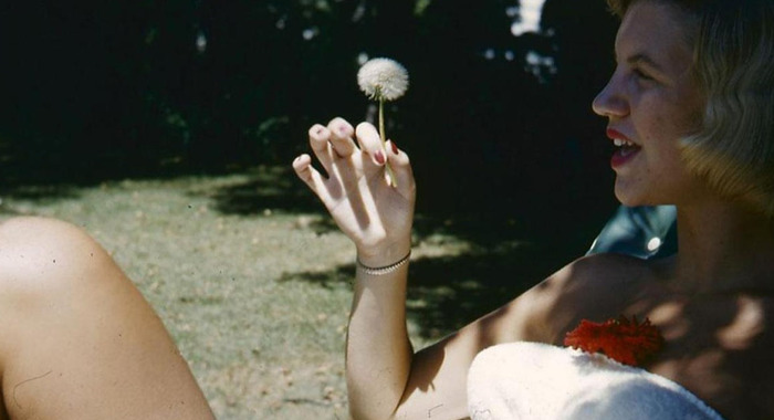 L'obsession de la pop pour Sylvia Plath