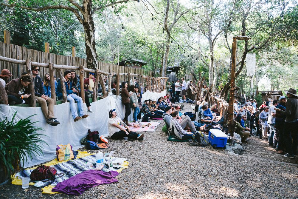 Woodsist Festival (Matt Rubin) - 